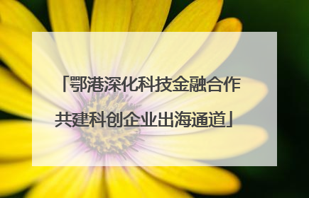 鄂港深化科技金融合作 共建科创企业出海通道