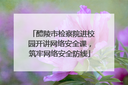 醴陵市检察院进校园开讲网络安全课，筑牢网络安全防线