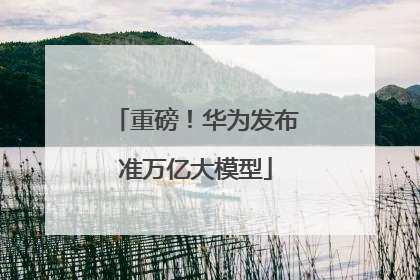 重磅！华为发布准万亿大模型