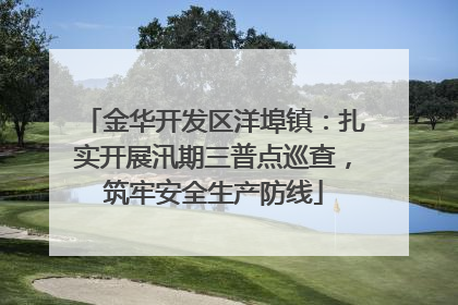 金华开发区洋埠镇：扎实开展汛期三普点巡查，筑牢安全生产防线