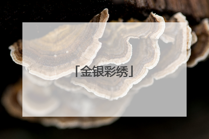 金银彩绣