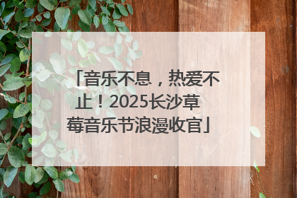 音乐不息，热爱不止！2025长沙草莓音乐节浪漫收官