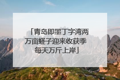 青岛即墨丁字湾两万亩蛏子迎来收获季 每天万斤上岸