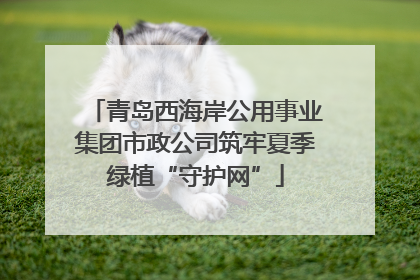青岛西海岸公用事业集团市政公司筑牢夏季绿植“守护网”