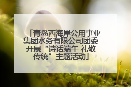 青岛西海岸公用事业集团水务有限公司团委开展“诗话端午 礼敬传统”主题活动