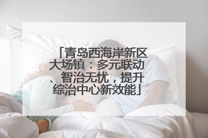 青岛西海岸新区大场镇：多元联动、智治无忧，提升综治中心新效能