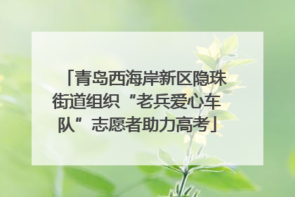 青岛西海岸新区隐珠街道组织“老兵爱心车队”志愿者助力高考
