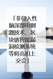 非侵入性脑深部电刺激技术、区块链智能漏洞检测系统等将亮相上交会
