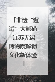 非遗“邂逅”大熊猫 江苏无锡博物院解锁文化新体验