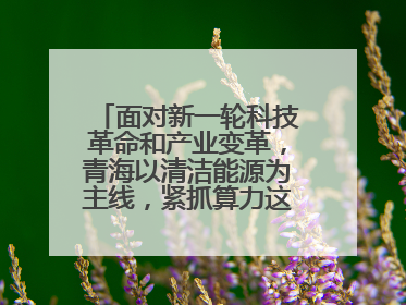 面对新一轮科技革命和产业变革，青海以清洁能源为主线，紧抓算力这个数字经济的“血液”、科技主权的“筹码”、产业升级的“杠杆”、绿色转型的“支点”，勇于撬动国家“双碳”战略、“东数西算”工程重大发展新机遇