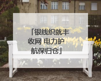银线织就丰收网 电力护航保归仓