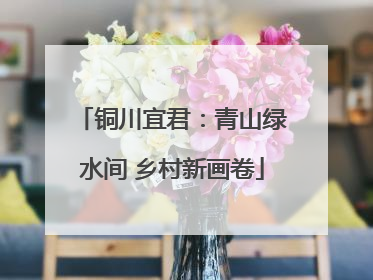 铜川宜君：青山绿水间 乡村新画卷