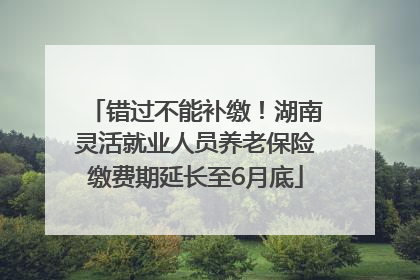 错过不能补缴！湖南灵活就业人员养老保险缴费期延长至6月底