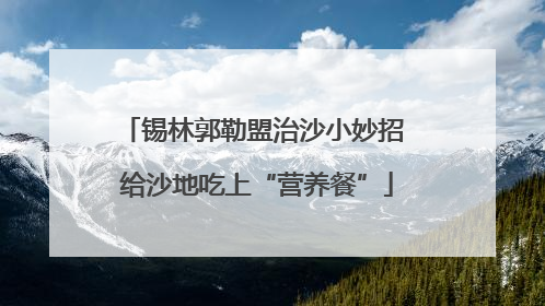锡林郭勒盟治沙小妙招 给沙地吃上“营养餐”