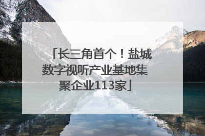 长三角首个！盐城数字视听产业基地集聚企业113家