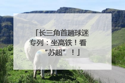 长三角首趟球迷专列：坐高铁！看“苏超”！