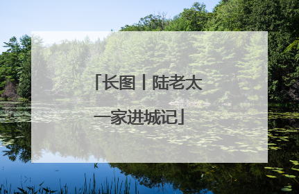 长图丨陆老太一家进城记