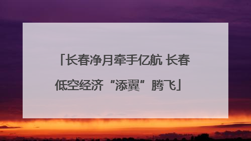 长春净月牵手亿航 长春低空经济“添翼”腾飞