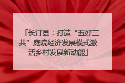 长汀县：打造“五好三共”庭院经济发展模式激活乡村发展新动能