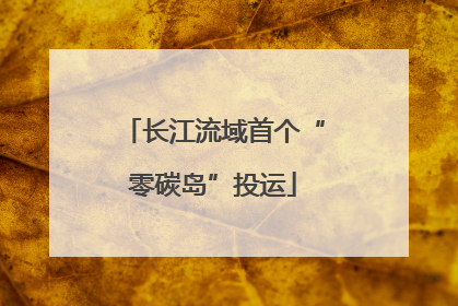 长江流域首个“零碳岛”投运