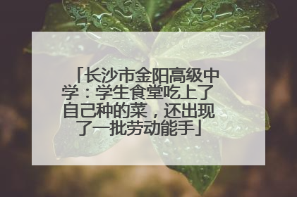 长沙市金阳高级中学：学生食堂吃上了自己种的菜，还出现了一批劳动能手