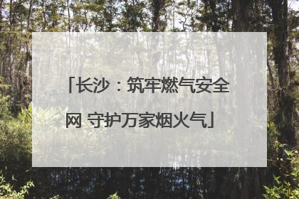 长沙：筑牢燃气安全网 守护万家烟火气