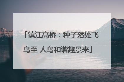 镇江高桥：种子落处飞鸟至 人鸟和谐趣景来