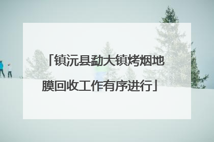 镇沅县勐大镇烤烟地膜回收工作有序进行