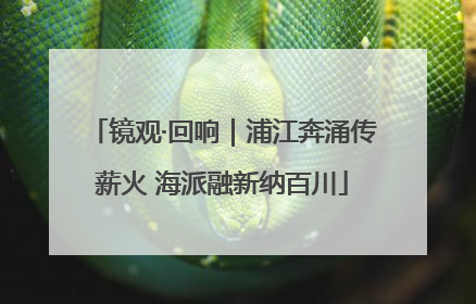 镜观·回响｜浦江奔涌传薪火 海派融新纳百川