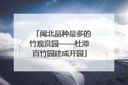 闽北品种最多的竹观赏园——杜潭百竹园建成开园