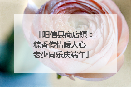 阳信县商店镇：粽香传情暖人心 老少同乐庆端午