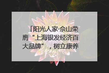 阳光人家·佘山荣膺“上海银发经济百大品牌”，树立康养行业新标杆