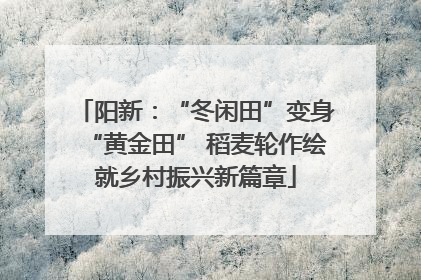 阳新：“冬闲田”变身“黄金田” 稻麦轮作绘就乡村振兴新篇章