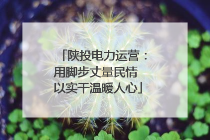 陕投电力运营：用脚步丈量民情 以实干温暖人心