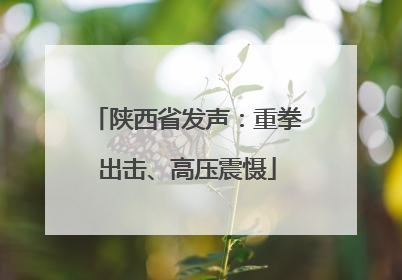 陕西省发声：重拳出击、高压震慑