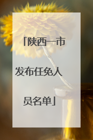 陕西一市发布任免人员名单