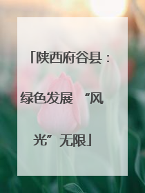 陕西府谷县：绿色发展 “风光”无限