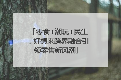 零食+潮玩+民生，好想来跨界融合引领零售新风潮