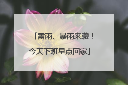 雷雨、暴雨来袭！今天下班早点回家