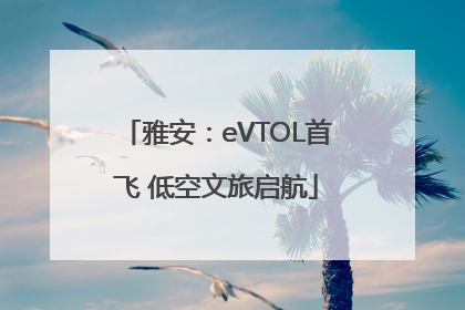 雅安：eVTOL首飞 低空文旅启航