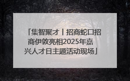 集智聚才丨招商蛇口招商伊敦亮相2025年嘉兴人才日主题活动现场