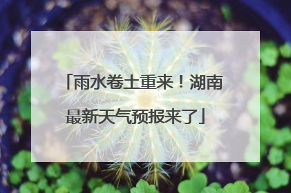 雨水卷土重来！湖南最新天气预报来了