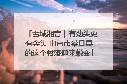 雪域湘音｜有劲头更有奔头 山南市桑日县的这个村落迎来蜕变