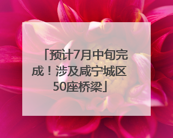 预计7月中旬完成！涉及咸宁城区50座桥梁