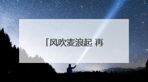 风吹麦浪起 再上神禾塬——陕西西安夏收见闻