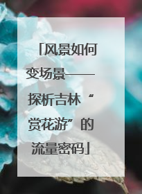 风景如何变场景——探析吉林“赏花游”的流量密码
