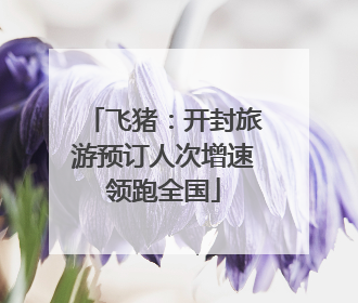 飞猪：开封旅游预订人次增速领跑全国