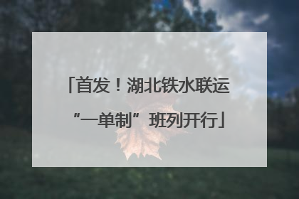 首发！湖北铁水联运“一单制”班列开行