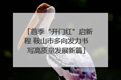首季“开门红”启新程 鞍山市多向发力书写高质量发展新篇