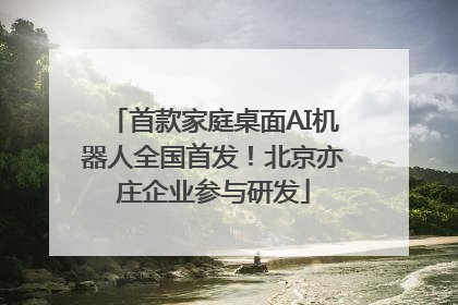 首款家庭桌面AI机器人全国首发！北京亦庄企业参与研发